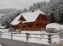 Lesena hiša iz lepljenih brun